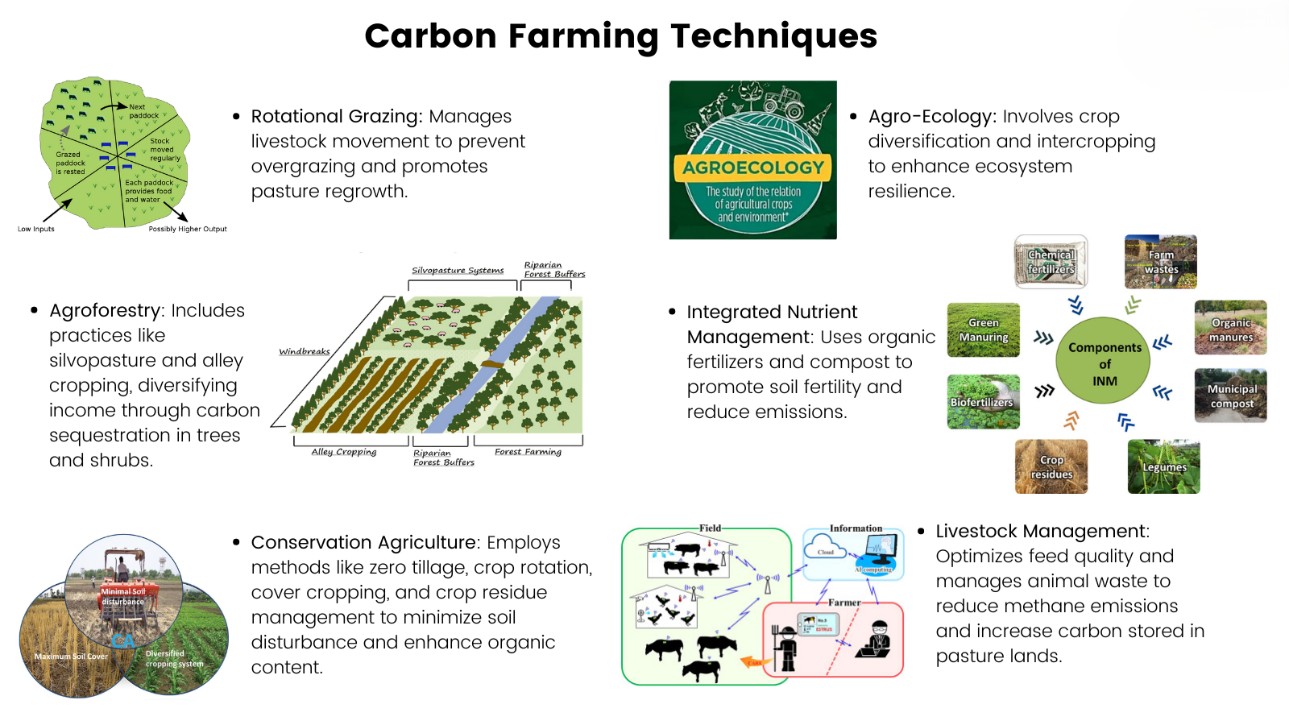 carbon farming techniques